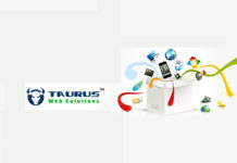 Marketing Executive at Taurus