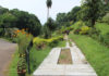 Jawaharlal Nehru Tropical Botanic Garden & Research Institute