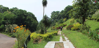 Jawaharlal Nehru Tropical Botanic Garden & Research Institute