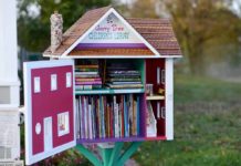 Little Free Library Michigan