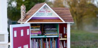 Little Free Library Michigan