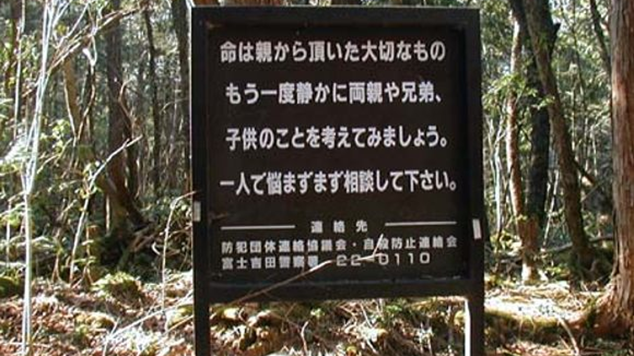 aokigahara sign board