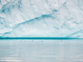 Ice thickness of Antartica