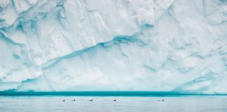 Ice thickness of Antartica