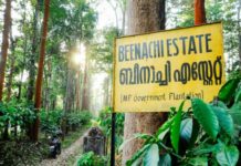 Beenachi Estate; MP Govt. Plantation in Kerala