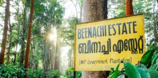 Beenachi Estate; MP Govt. Plantation in Kerala