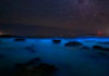 Kavaru, the bioluminescence in kumbalangi